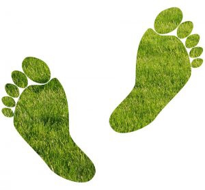 green footprints